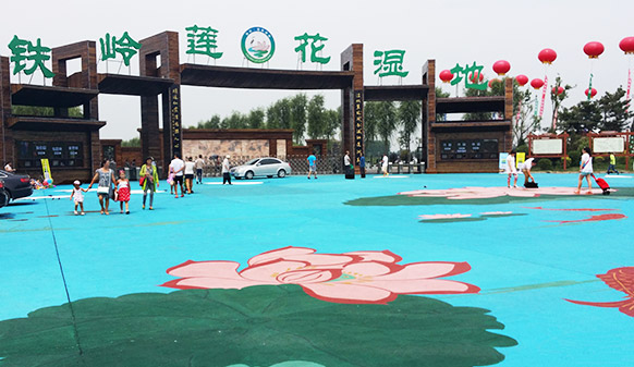 來蓮花濕地公園漫步，感受腳下生花